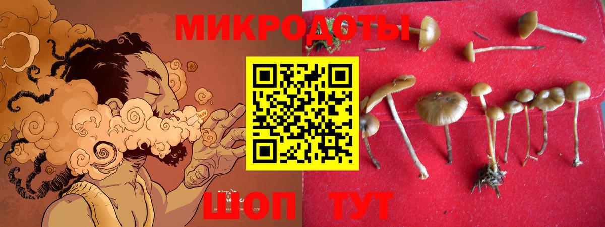 Псилоцибиновые грибы MAGIC MUSHROOMS  магазин продажи   Псилоцибиновые грибы Psilocybine cubensis  Сосновоборск  Вход с VPN 